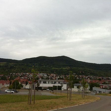 Ferienwohnung Heike Dettingen an der Erms エクステリア 写真